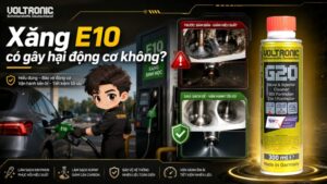 Xăng E10 là gì? Xăng E10 có gây hại động cơ không?